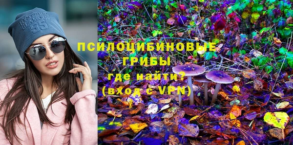 первитин Алексеевка
